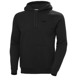 Bluza męska HELLY HANSEN ELEVATE HOODIE 54282 990