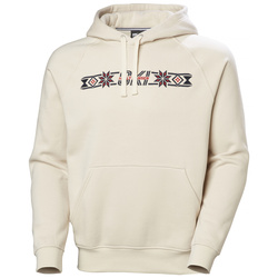 Bluza męska HELLY HANSEN ELEVATE HOODIE 54282 034